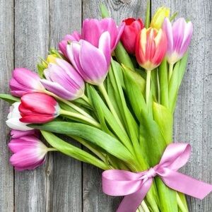 Like this post to be notified of my first live show.
Low start